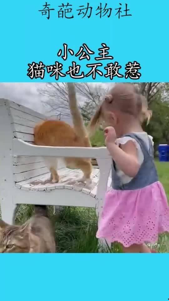 小公主不好惹,傲娇小公主的逆袭传奇