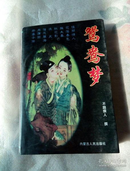 鸳鸯梦,穿越时空的浪漫传奇