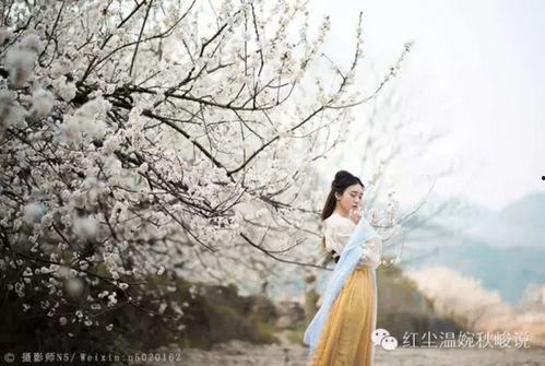 错念秋兰（一厢情愿）,一厢情愿的悲欢离合